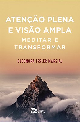 Atenção Plena E Visão Ampla