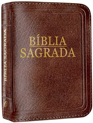 Bíblia Sagrada - Nova Tradução Na Linguagem De Hoje - (Bolso - Zíper Marrom)