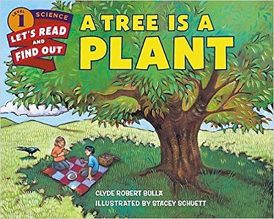 A Tree Is A Plant - Let'S-Read-and-find-out Science - Stage 1