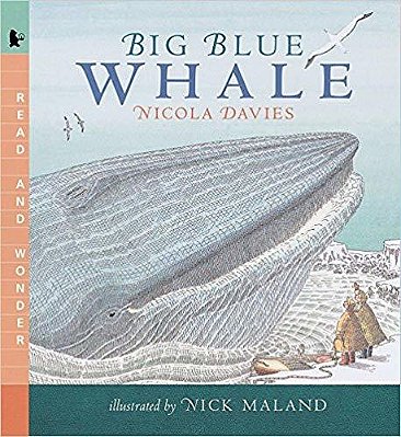 Big Blue Whale: Read And Wonder