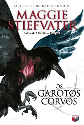 Os Garotos Corvos (Vol. 1 A Saga Dos Corvos)
