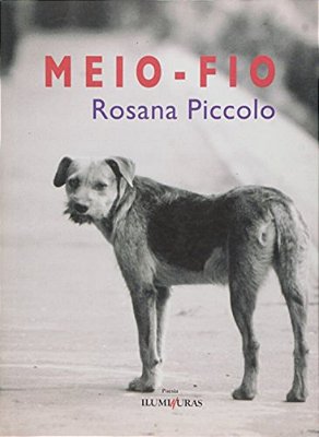 Meio-Fio