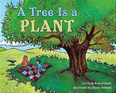 A Tree Is A Plant - Let's Read And Find Out Science - Level 1