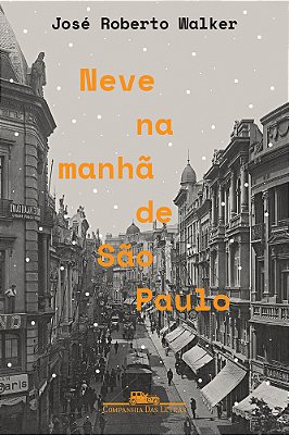 Neve Na Manhã De São Paulo