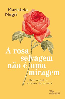 A Rosa Selvagem Não É Uma Miragem Um Encontro Através Da Poesia