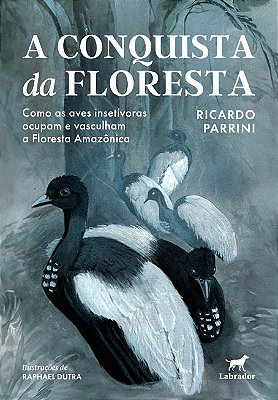 A Conquista Da Floresta Como As Aves Insetívoras Ocupam E Vasculham A Floresta Amazônica
