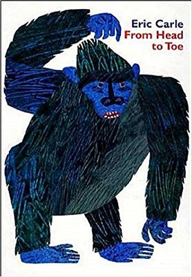 From Head To Toe - Board Book