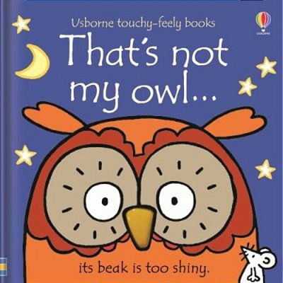 Touchy And Feely Board Book Thats Not My Owl Bb