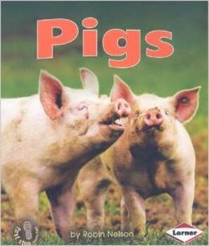 Pigs..-