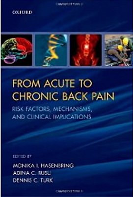 From Acute To Chronic Back Pain - Risk Factors Mechanisms, And Clinical Implications-..
