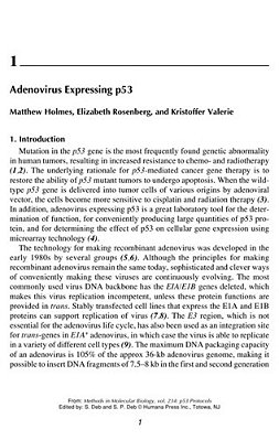 P53 Protocols..-