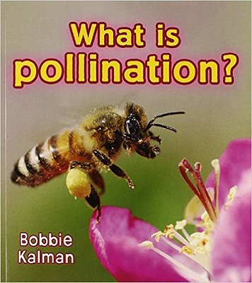 What Is Pollination?-..