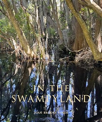 In The Swampyland-..