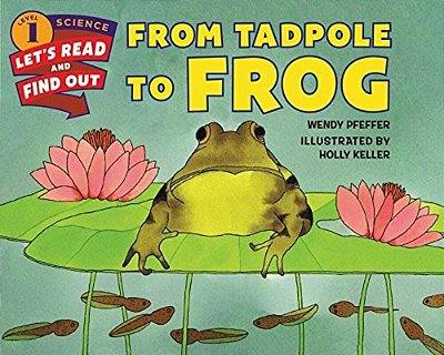 From Tadpole To Frog-..