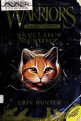 Skyclan's Destiny-..