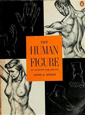 The Human Figure: An Anatomy For Artists-..