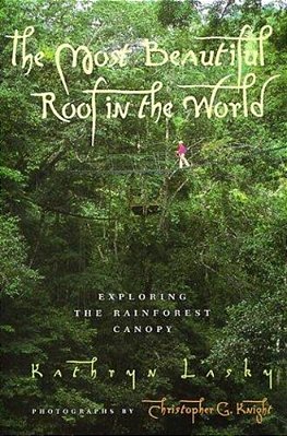 The Most Beautiful Roof In The World: Exploring The Rainforest Canopy-..