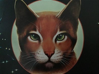 Dork Diaries 11: Tales From A Not-So-friendly Frenemy-..