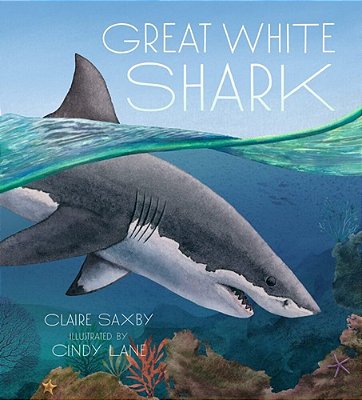 Great White Shark-..