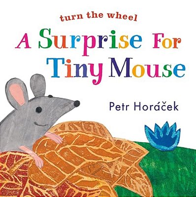 A Surprise For Tiny Mouse-..