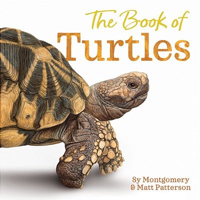 The Book Of Turtles-..