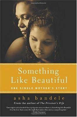 Something Like Beautiful: One Single Mother's Story-..