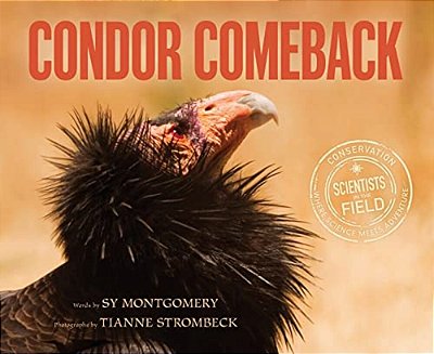 Condor Comeback-..