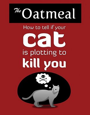 How To Tell If Your Cat Is Plotting To Kill You-..