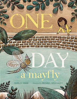 One Day A Mayfly-..