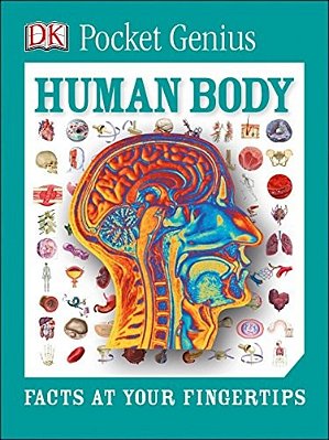 Pocket Genius Human Body: Facts At Your Fingertips-..