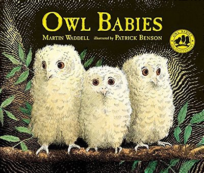 Owl Babies-..
