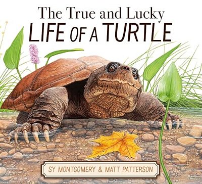 The True And Lucky Life Of A Turtle-..