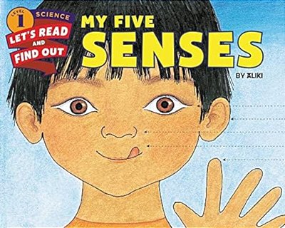 My Five Senses-..