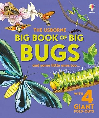 Big Book Of Big Bugs-..