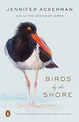 Birds By The Shore: Observing The Natural Life Of The Atlantic Coast-..