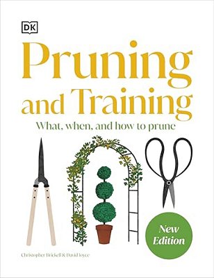 Pruning And Training: What, When, And How To Prune-..