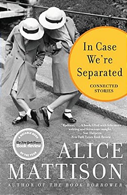 In Case We'Re Separated: Connected Stories-..