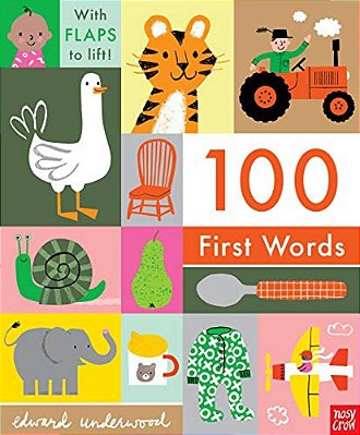 100 First Words: With Flaps To Lift-..