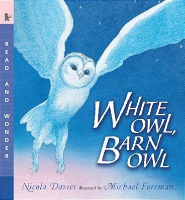 White Owl, Barn Owl: Read And Wonder-..