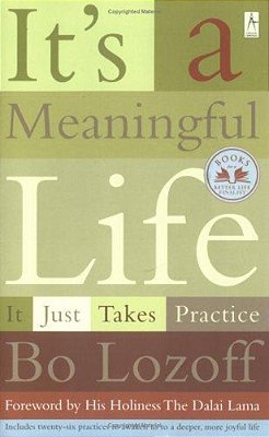 It's A Meaningful Life: It Just Takes Practice-..