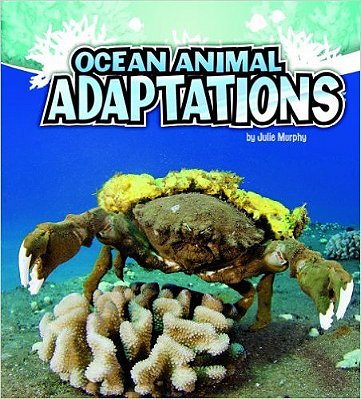Ocean Animal - Adaptations-..