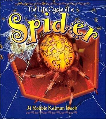 The Life Cycle Of A Spider-..