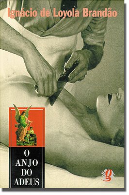 Anjo Do Adeus