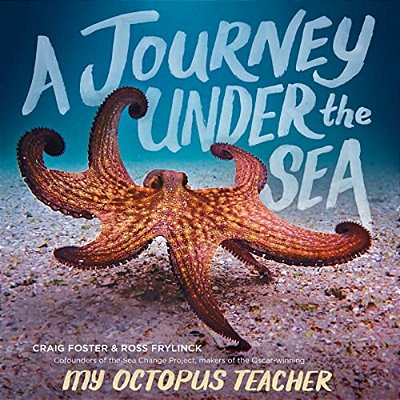 A Journey Under The Sea-..