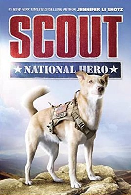 Scout: National Hero-..