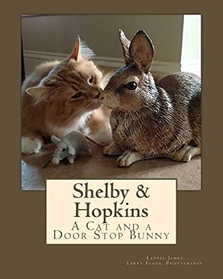 Shelby & Hopkins: A Cat And A Door Stop Bunny-..