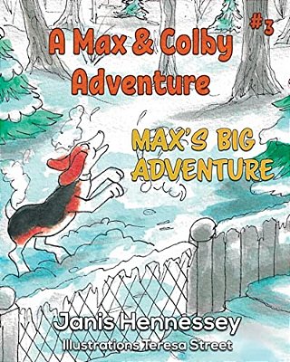 Max's Big Adventure: Max's Big Adventure-..