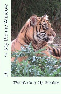 My Picture Window-..