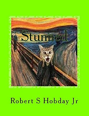 Stunned: A Collection Of Stunned Cats-..