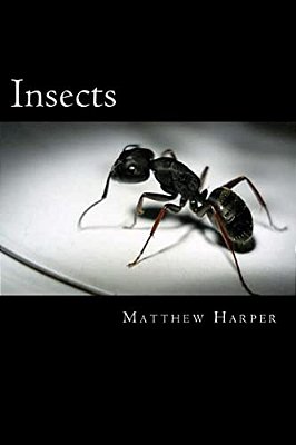 Insects: A Fascinating Book Containing Insect Facts, Trivia, Images & Memory Recall Quiz: Suitable For Adults & Children-..